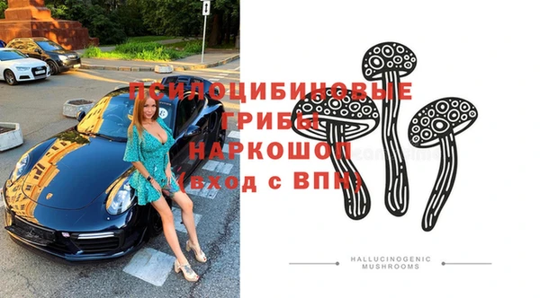 спиды Арсеньев